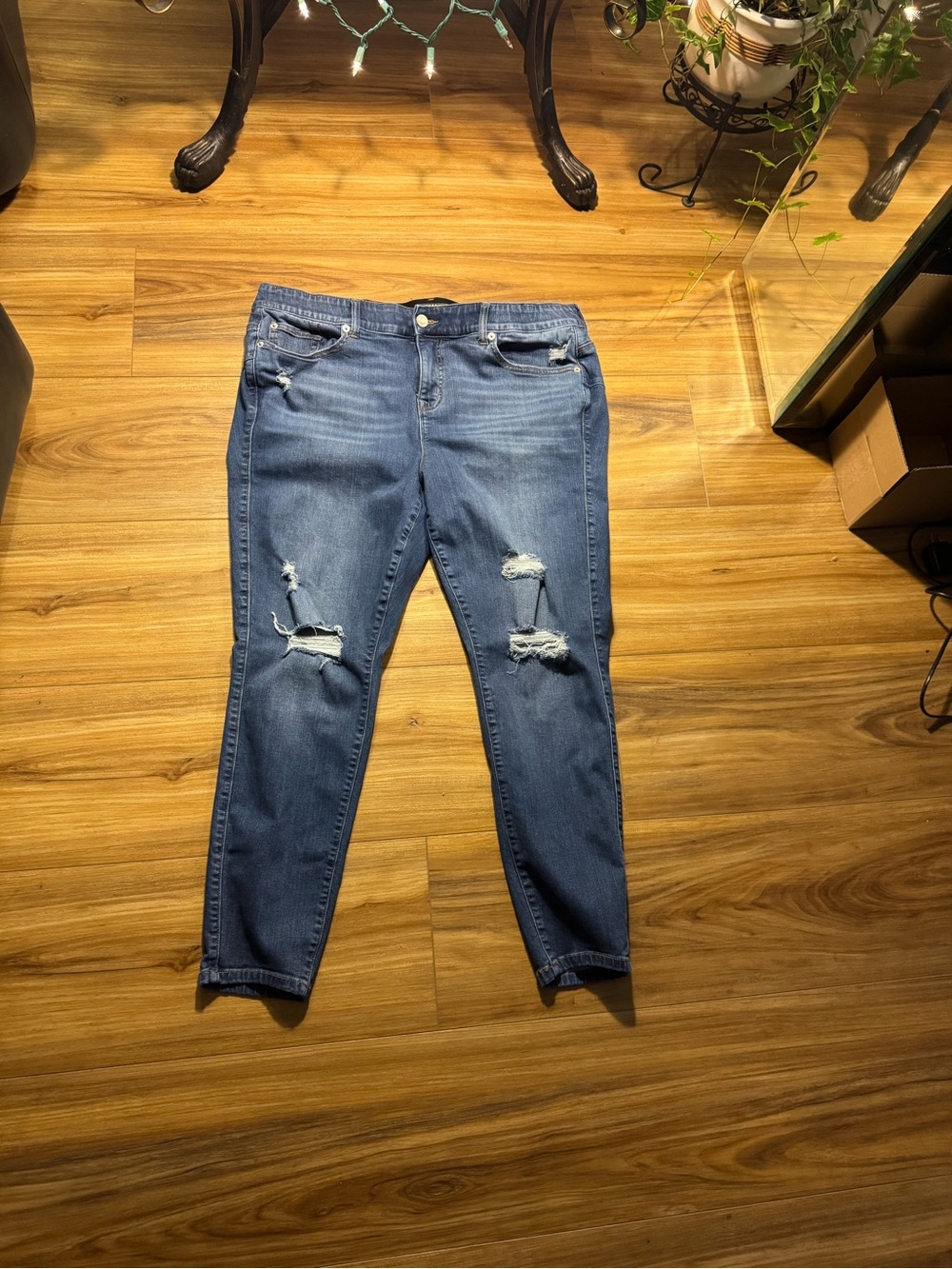 Torrid Medium Blue Distressed Skinny Jeans